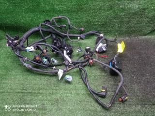 проводка Chevrolet Aveo II (2011—2020) 2014, 1.6i F16D4, 95402980