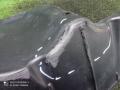 пыльник двигателя Opel Corsa D (2006—2010) 2009, 1.4i Z14XEP, 13230438 - фото №6