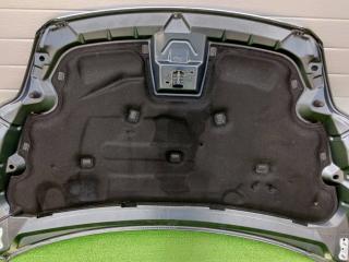 шумоизоляция капота Ford Focus II рестайлинг (2007—2011) 2009, 1.8i QQDB, 1519736