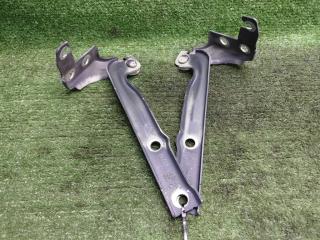 петля капота Volkswagen Tiguan I рестайлинг (2011—2019) 2013, Название двигателя 2.0TD CFFB, 5N0823302A