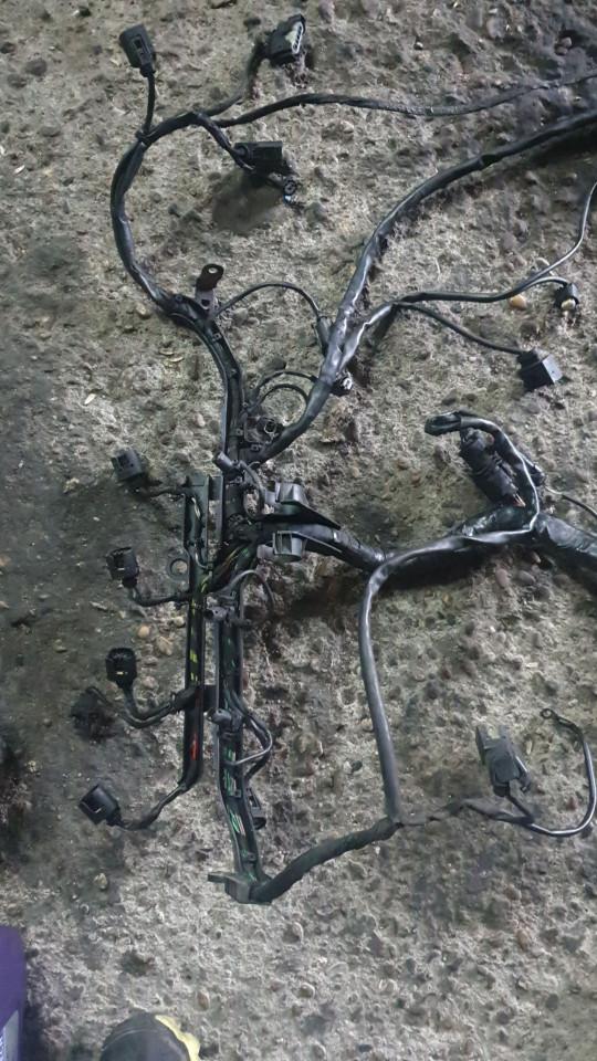 проводка двигателя Mercedes-Benz Sprinter 2 поколение (W906) 2009, 2.2 л., дизель, МКПП, микроавтобус - фото №1