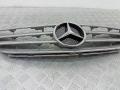 решетка радиатора Mercedes-Benz A-Класс W169 2006, A1698800783 - фото №2