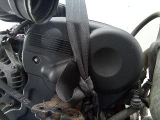 защита (кожух) ремня ГРМ Opel Zafira 1 поколение (A) 1999, 1.6 л., бензин, МКПП