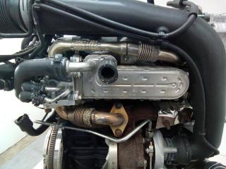 охладитель EGR / Радиатор EGR Volkswagen Golf 4 поколение 2005, 1.9 л., дизель, МКПП, 038131513