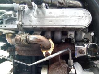 коллектор впускной Volkswagen Golf 4 поколение 2005, 1.9 л., дизель, МКПП, 02120413