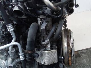 корпус масляного фильтра Volkswagen Passat B6 2009, 2.0 л., дизель, МКПП