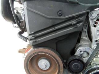 защита (кожух) ремня ГРМ Renault Twingo 1 поколение [3-й рестайлинг] 2011, 1.5 л., дизель, МКПП