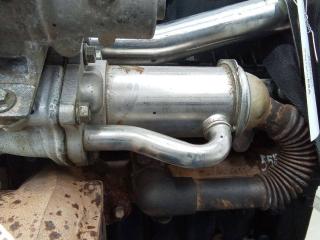 охладитель EGR / Радиатор EGR Renault Scenic 3 поколение 2012, 1.5 л., дизель, МКПП, 147352070R