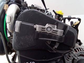 защита (кожух) ремня ГРМ Renault Twingo 1 поколение [3-й рестайлинг] 2011, 1.5 л., дизель, МКПП