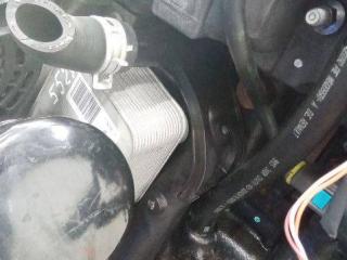 трубка охлаждающей жидкости Renault Twingo 1 поколение [3-й рестайлинг] 2011, 1.5 л., дизель, МКПП