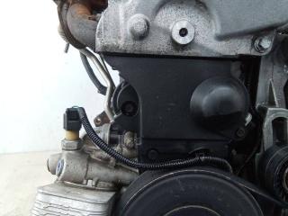 защита (кожух) ремня ГРМ Renault Twingo 1 поколение [3-й рестайлинг] 2009, 1.2 л., бензин, МКПП