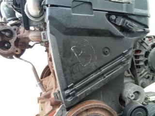 защита (кожух) ремня ГРМ Renault Clio 2 поколение [рестайлинг] 2003, 1.5 л., дизель, МКПП