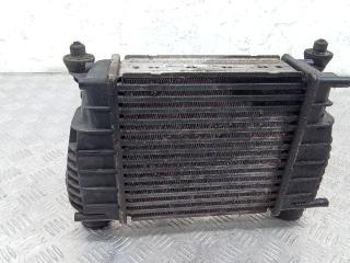 интеркулер Nissan Note E11 2007, 144619U20A