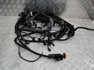 проводка двигателя Mercedes-Benz Sprinter 2 поколение [рестайлинг] (W906) 2018, 2.2 л., дизель, A9065402727