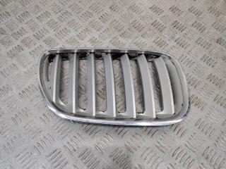 решетка радиатора BMW X5 E53 [рестайлинг] 2004, 7113738