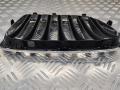решетка радиатора BMW X1 E84 2011, 2993305 - фото №5