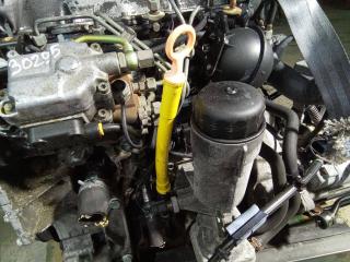 щуп двигателя Volkswagen Golf 4 поколение 2000, 1.9 л., дизель, МКПП