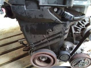 защита (кожух) ремня ГРМ Renault Megane 1 поколение [рестайлинг] 2003, 1.5 л., дизель, МКПП