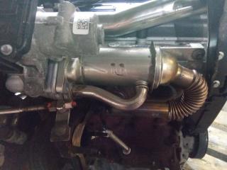 охладитель EGR / Радиатор EGR Renault Modus 1 поколение [рестайлинг] 2010, 1.5 л., дизель, МКПП, 147352070R