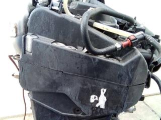 защита (кожух) ремня ГРМ Renault Kadjar 1 поколение 2017, 1.5 л., дизель, МКПП