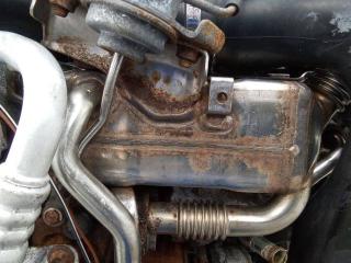 охладитель EGR / Радиатор EGR Opel Zafira 2 поколение (B) [рестайлинг] 2010, 1.7 л., дизель, МКПП