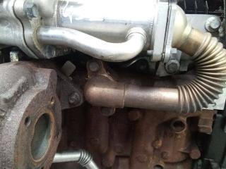 коллектор выпускной Renault Megane 2 поколение [рестайлинг] 2008, 1.5 л., дизель, МКПП