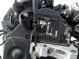 защита (кожух) ремня ГРМ Citroen C4 Picasso 1 поколение 2008, 1.6 л., дизель, МКПП, 9651560180