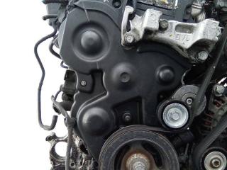 защита (кожух) ремня ГРМ Citroen C4 Picasso 1 поколение 2008, 1.6 л., дизель, МКПП