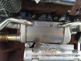 охладитель EGR / Радиатор EGR Nissan Juke F15 [рестайлинг] 2016, 1.5 л., дизель, МКПП, 147357324R