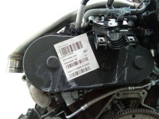 защита (кожух) ремня ГРМ Peugeot 607 1 поколение [рестайлинг] 2006, 2.7 л., дизель, АКПП, 5U3Q6007AA