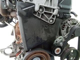 защита (кожух) ремня ГРМ Renault Clio 3 поколение 2006, 1.5 л., дизель, МКПП