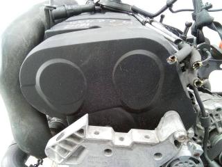 защита (кожух) ремня ГРМ Volkswagen Golf 5 поколение 2007, 2.0 л., дизель, АКПП