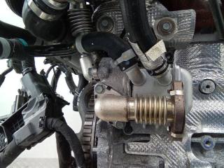 охладитель EGR / Радиатор EGR Hyundai Tucson 4 поколение 2022, 1.6 л., дизель, АКПП, 284602U001