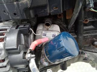 теплообменник масляного фильтра Renault Megane 3 поколение 2013, 1.5 л., дизель, 8200779744