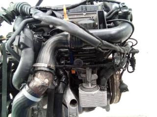 корпус масляного фильтра Audi A4 B5 [рестайлинг] 2001, 1.9 л., дизель, МКПП