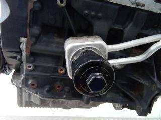 теплообменник масляного фильтра Volkswagen Golf 4 поколение 2003, 1.6 л., бензин, МКПП