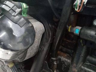 трубка охлаждающей жидкости Renault Scenic 3 поколение 2011, 1.5 л., дизель, МКПП, 8200552604