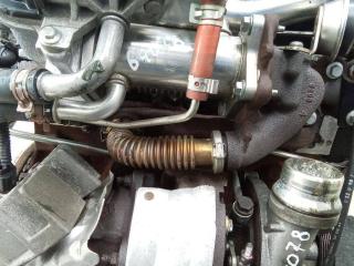 коллектор выпускной Renault Scenic 3 поколение 2011, 1.5 л., дизель, МКПП