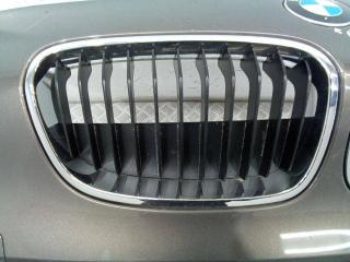 решетка радиатора BMW 1 серия F20/F21 2013, 7324390