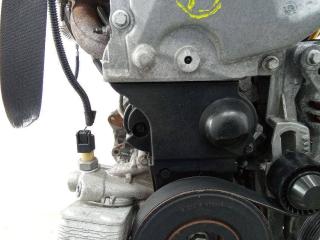 защита (кожух) ремня ГРМ Renault Clio 3 поколение 2009, 1.2 л., бензин, МКПП