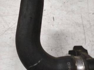 патрубок интеркулера Renault Clio 3 поколение 2005, 800383140D