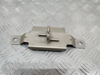 петля капота Renault Scenic 3 поколение 2010, 656200015R