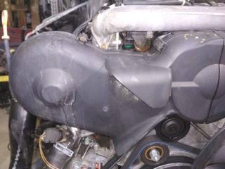 защита (кожух) ремня ГРМ Audi A6 4B/C5 1998, 2.5 л., дизель, АКПП