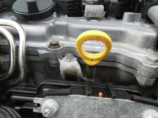 щуп двигателя Toyota C-HR 1 поколение AX10 2017, 1.2 л., бензин, АКПП