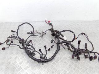 проводка двигателя Porsche Cayenne 955 2007, 3.6 л., бензин, АКПП