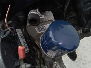 теплообменник масляного фильтра Renault Megane 3 поколение 2010, 1.5 л., дизель, МКПП, 779744