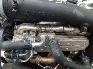 охладитель EGR / Радиатор EGR Volkswagen Touran 1 поколение 2006, 1.9 л., дизель, МКПП, 038131513