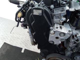 защита (кожух) ремня ГРМ Citroen C5 1 поколение [рестайлинг] 2008, 2.0 л., дизель, АКПП