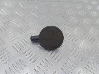 маслоотделитель (сапун) Renault Kangoo 1 поколение [рестайлинг] 2008, 3911171924