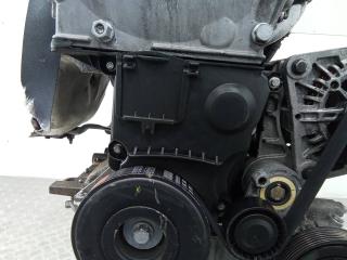 защита (кожух) ремня ГРМ Renault Scenic 2 поколение [рестайлинг] 2007, 1.6 л., бензин, МКПП